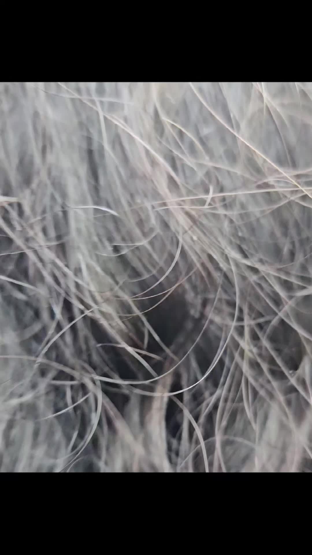 @CutAboveTheRest