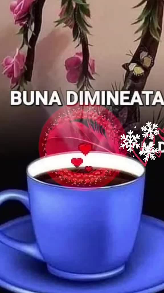 @stelutaturtoi