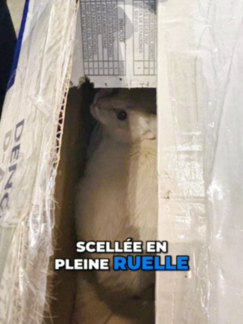 @TVA Nouvelles