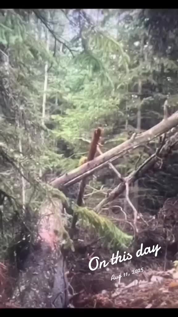 @PEJE-SAURIO69