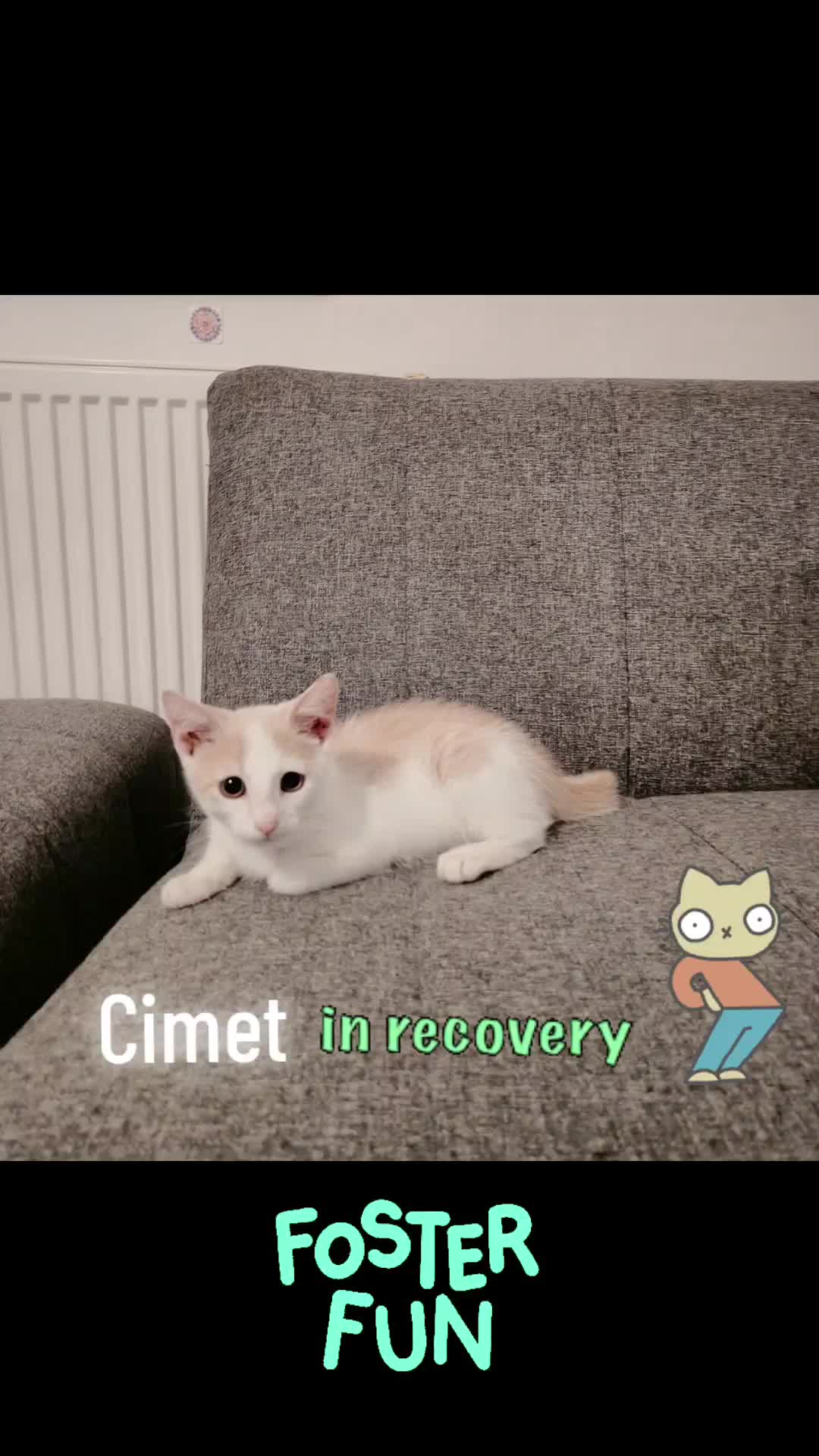 @MicroCat🐈⬛Kaya🐈⬛🩷💎