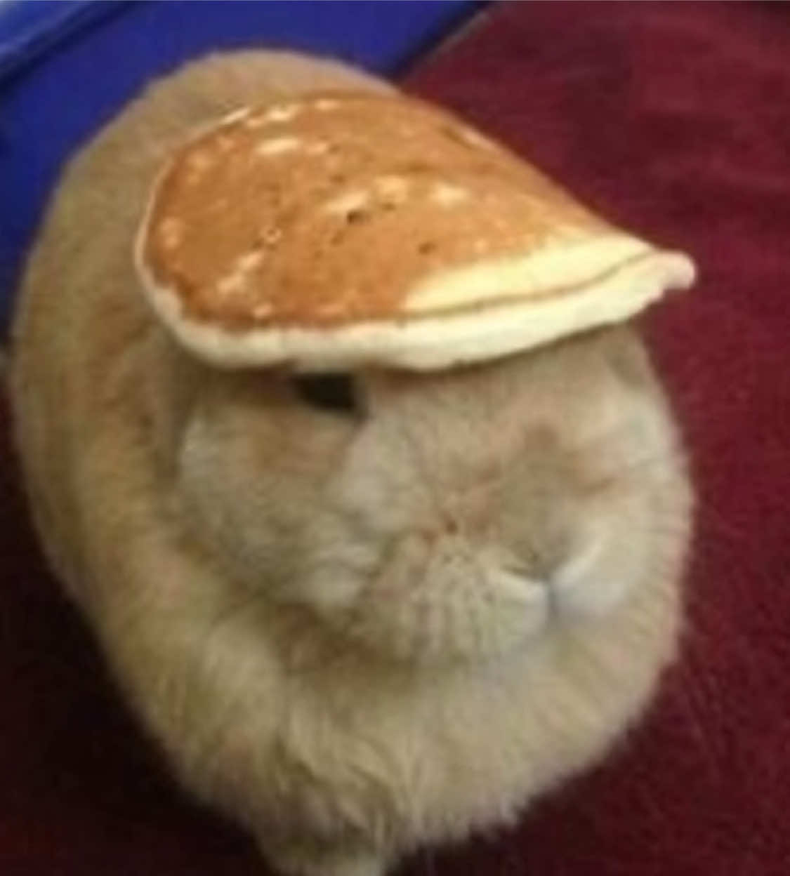 @♡𝑻𝒊𝒍𝒍𝒚₊˚⊹