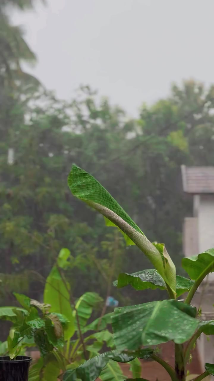 @Riyasbabu