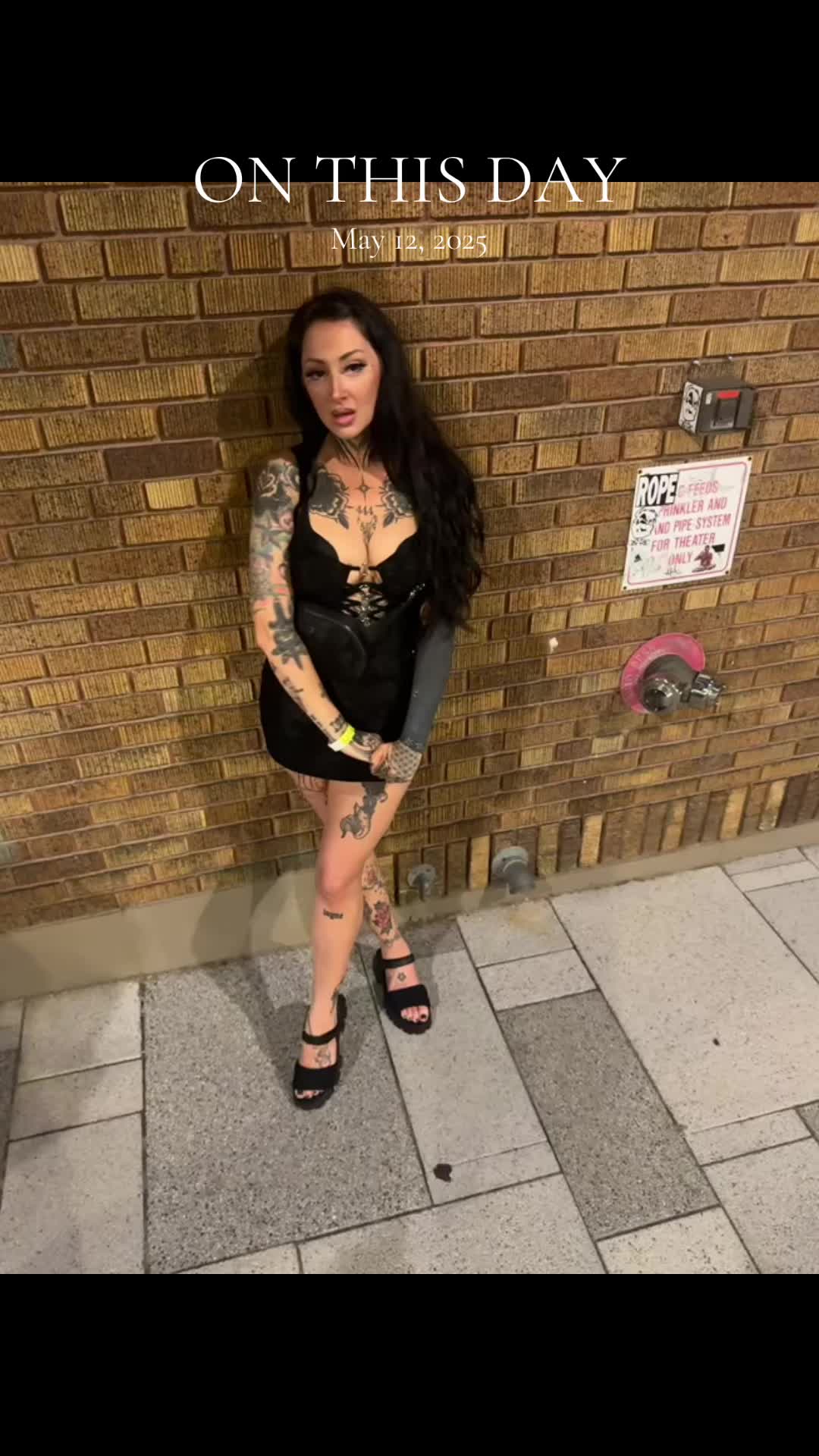 @nikkispiderbaby