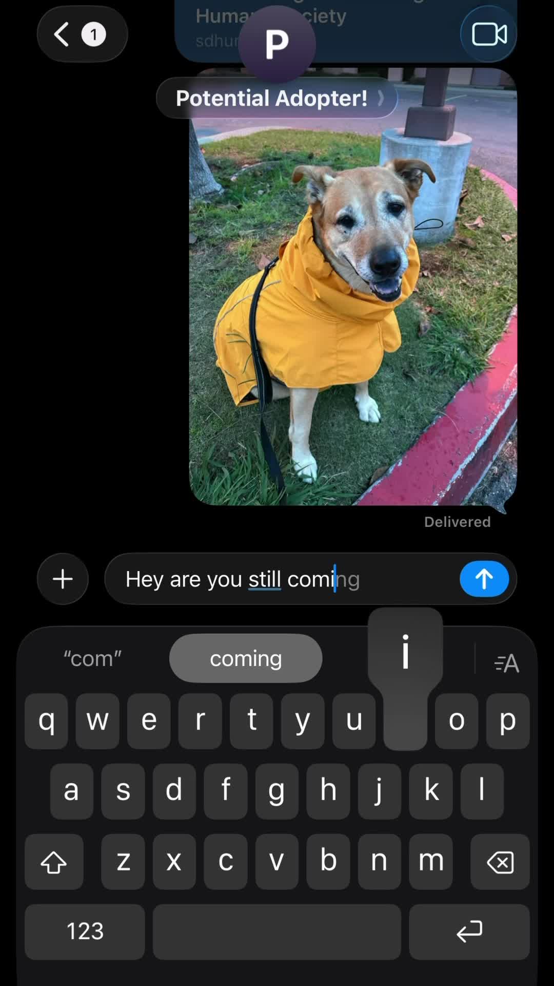 @San Diego Humane Society