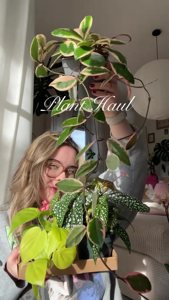 @Alex 🧚♀️