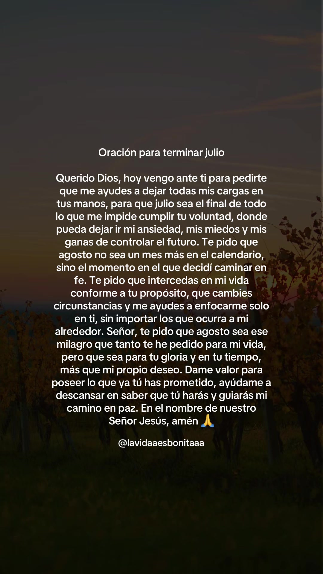 @vidabonita❤️🩹