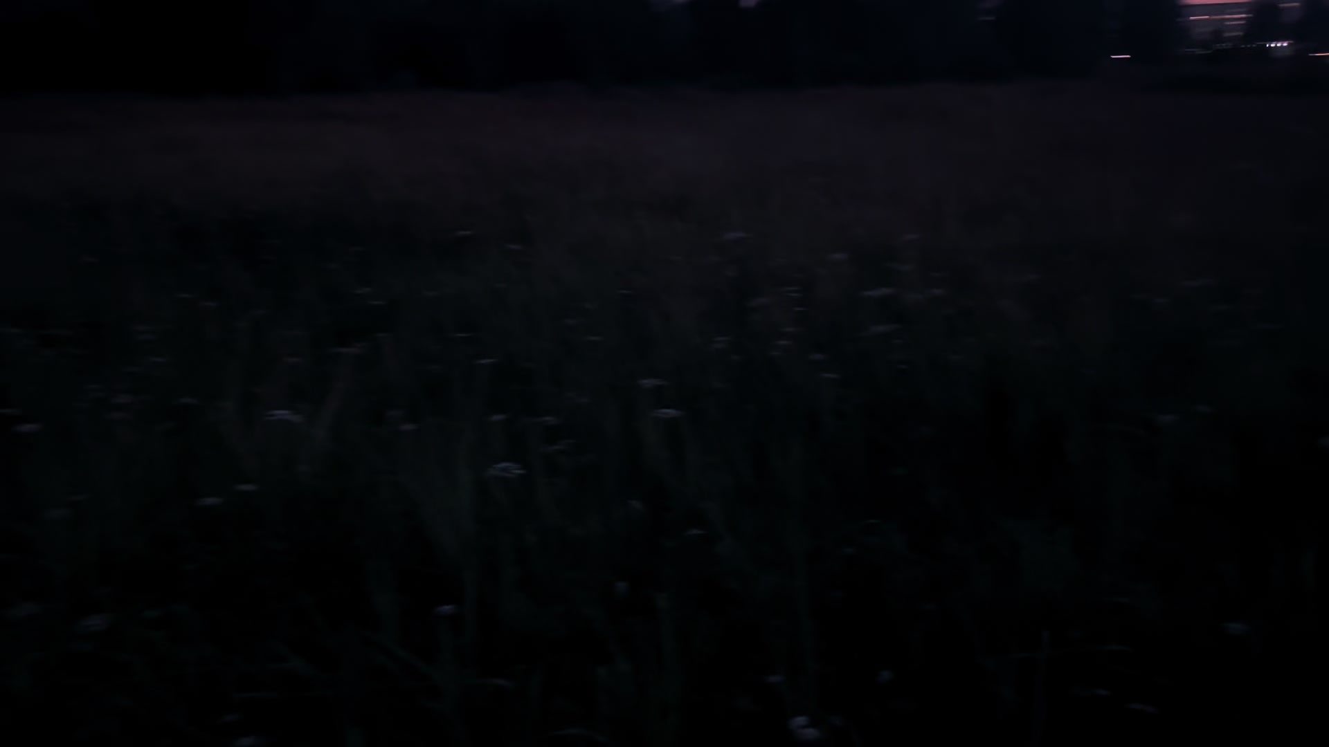 @?¿