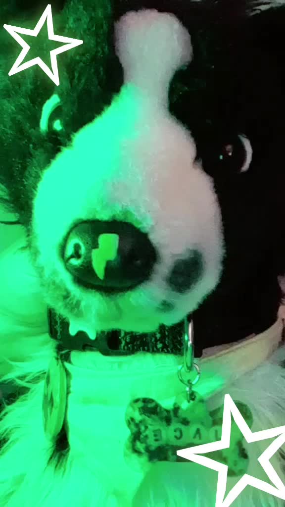 @noodleboiii