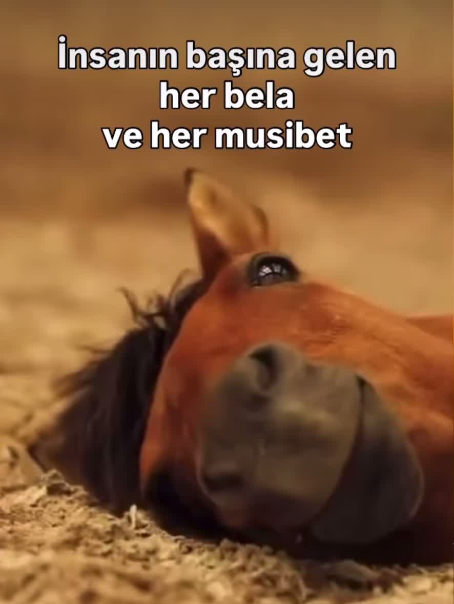 @İslam sayfası 🌸