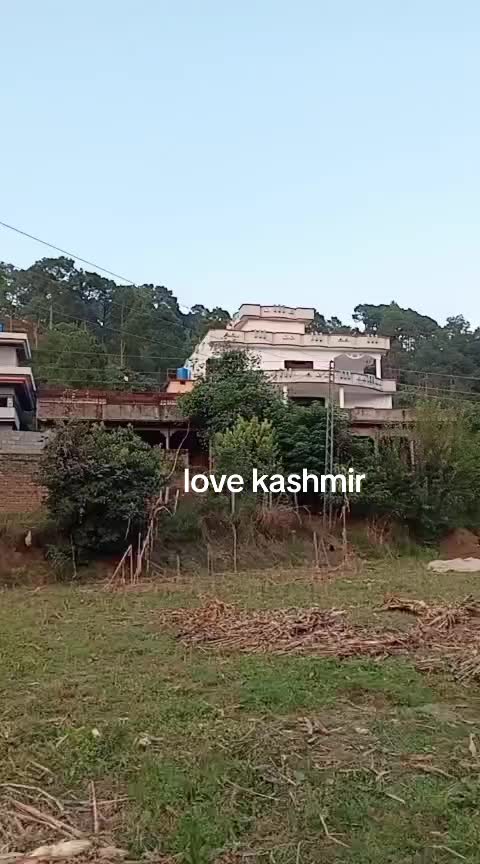 @Tariq Dar
