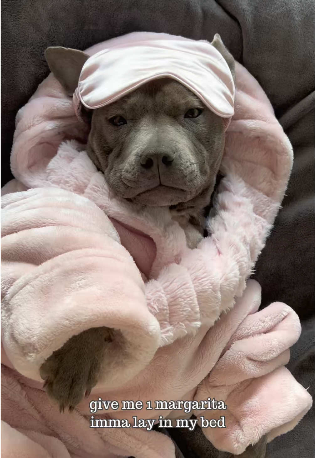 @Myla.thebluestaffy🤍
