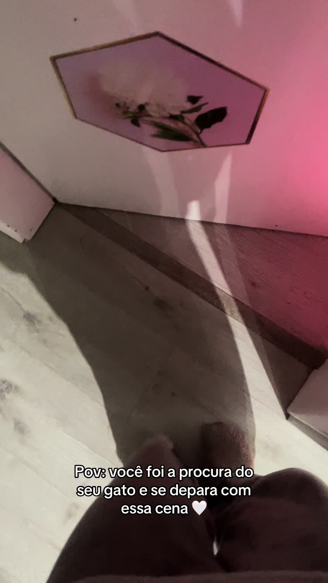 @Bealoirinha