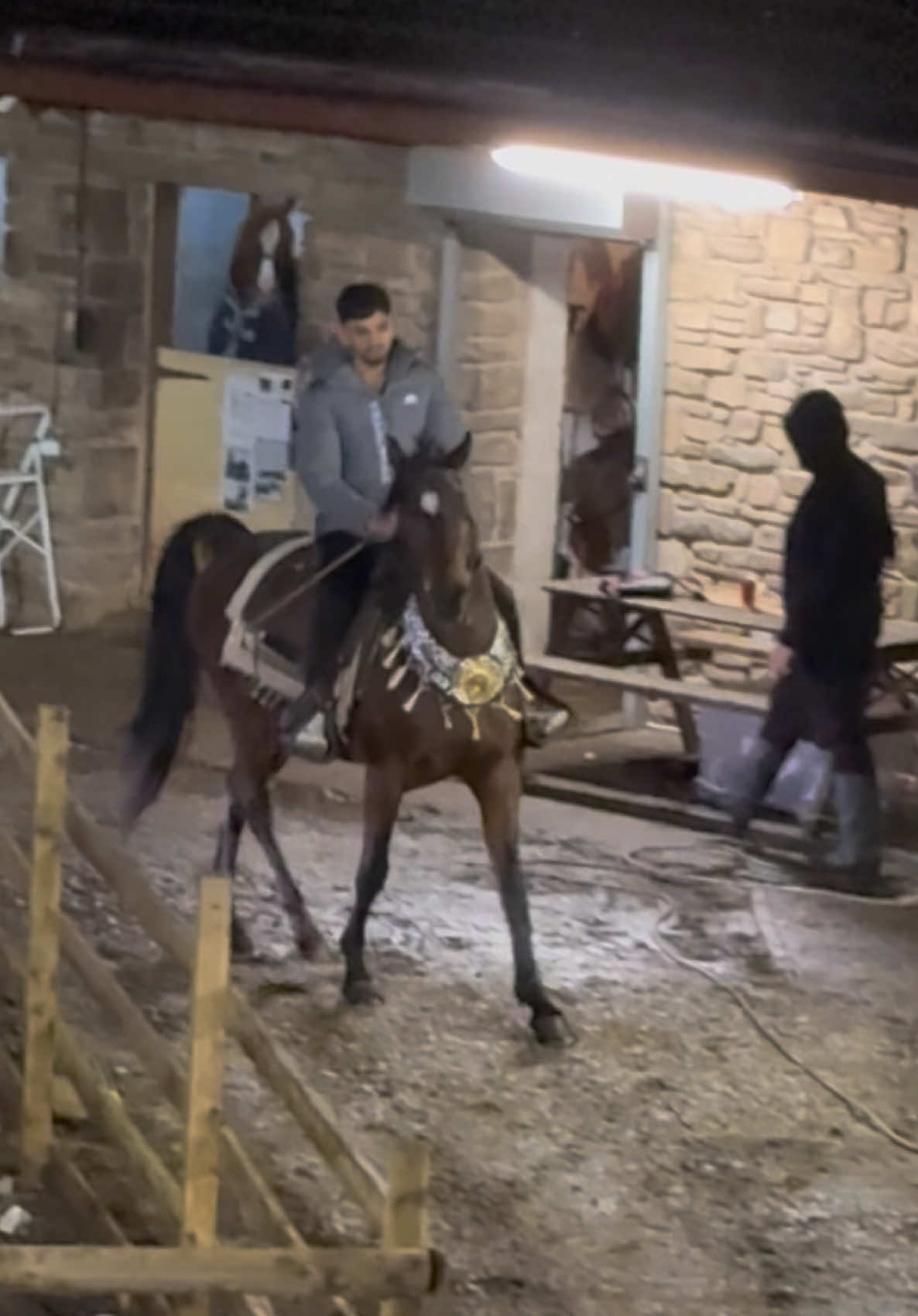 @thekhansarabianstudfarm