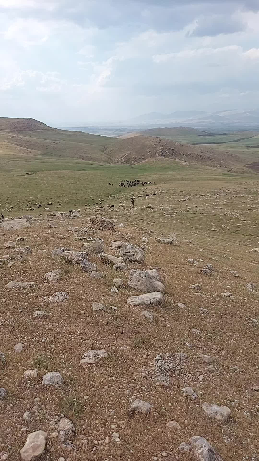 @TAHER KOLNADAR