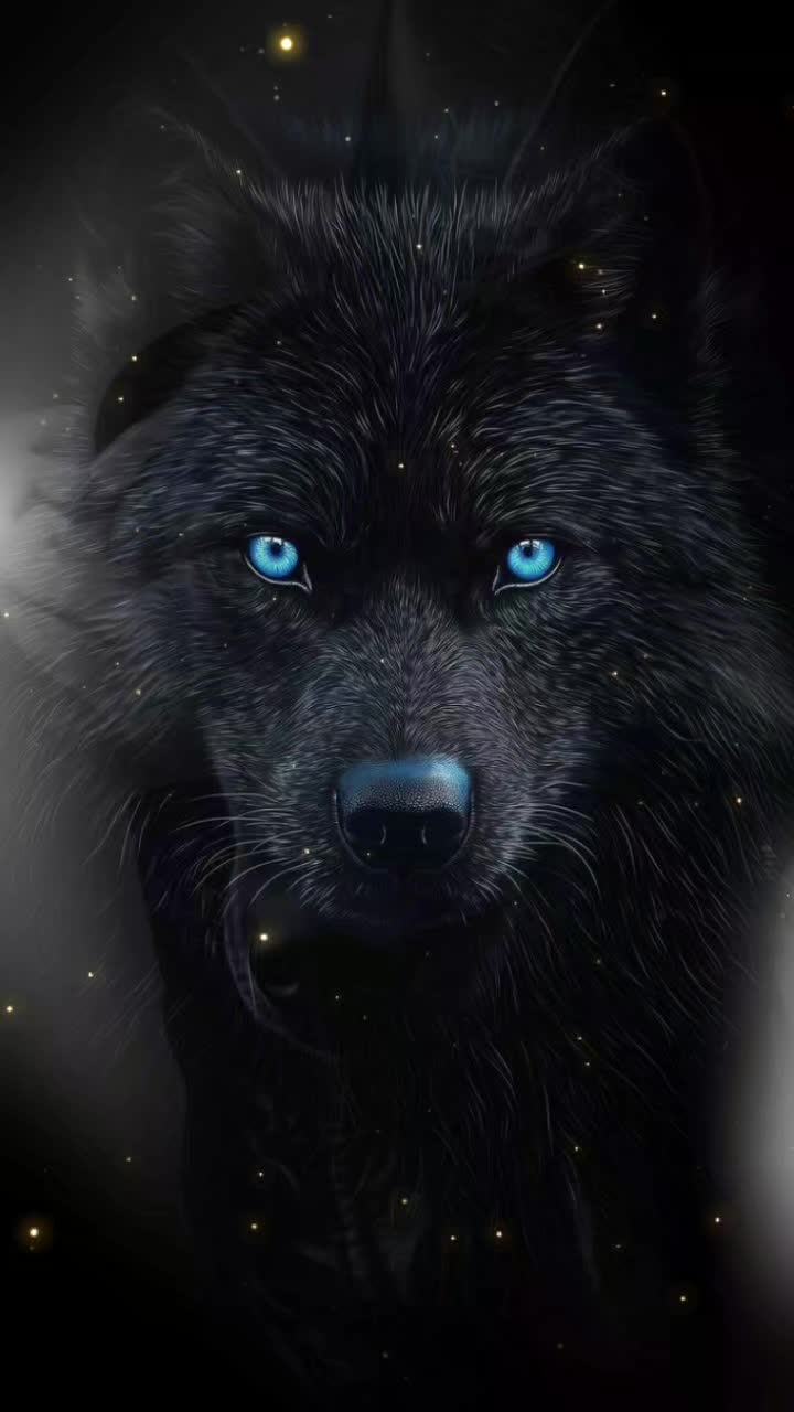 @💜WOLFOREVER 🐺☮️