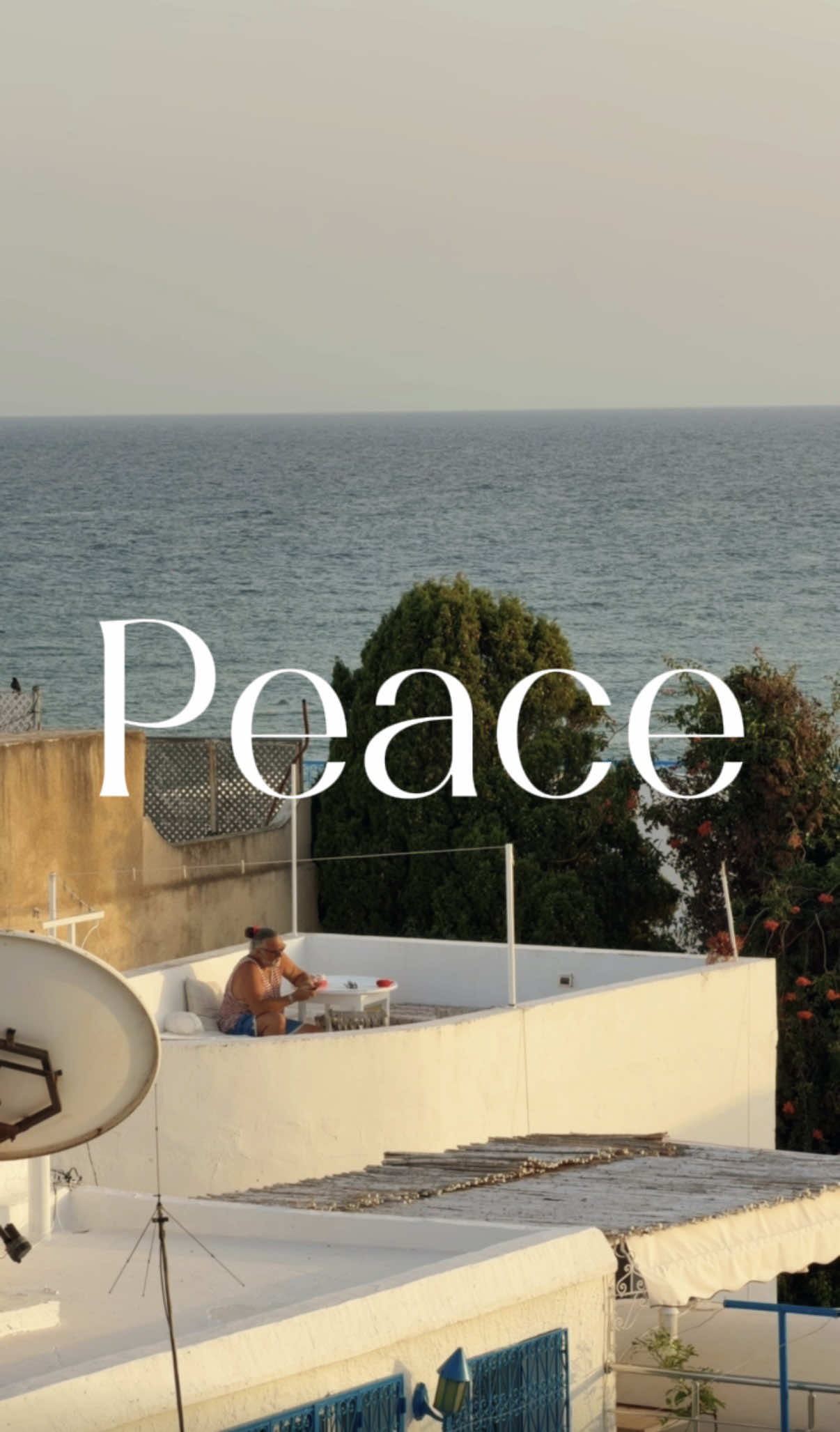 @Saria Travels