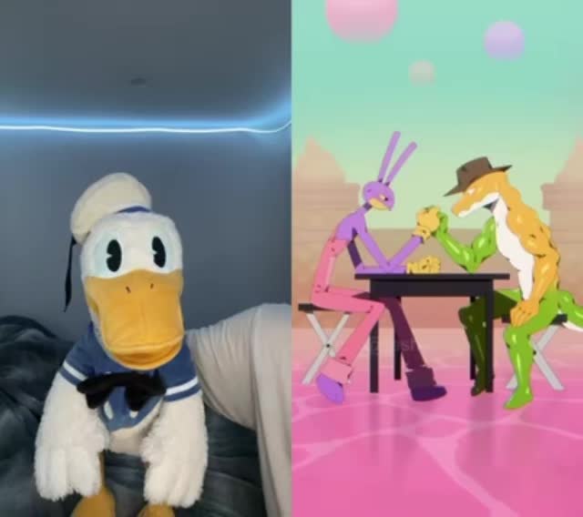 @DonaldDucc 🦆