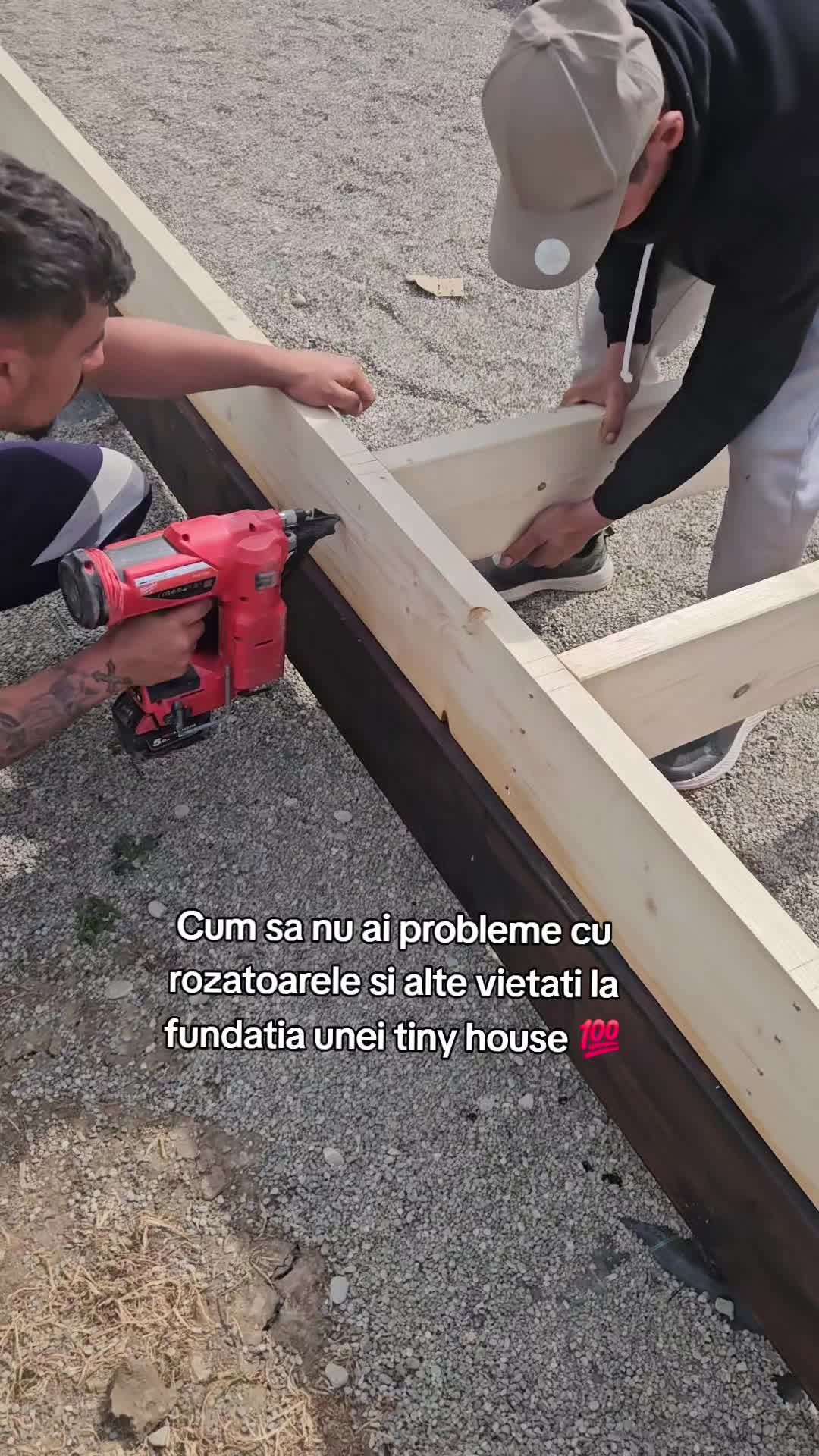 @Fratii Rumegus