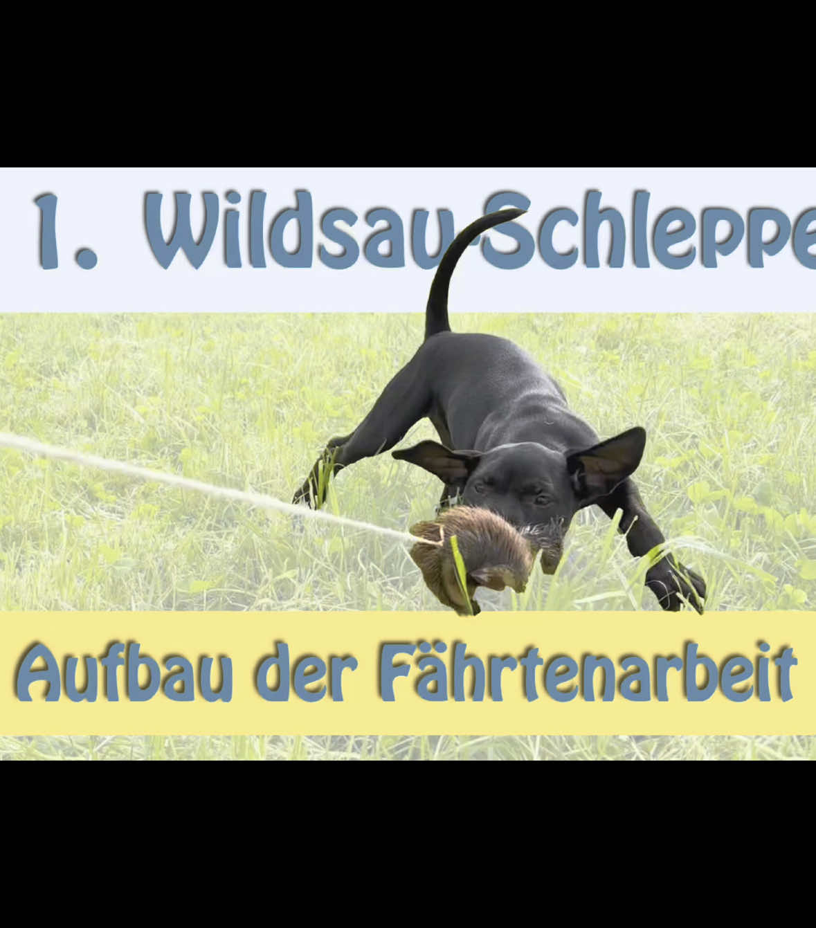 @Urs von Vergiss die Leine