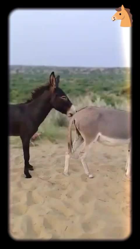 @FunLoveFun1