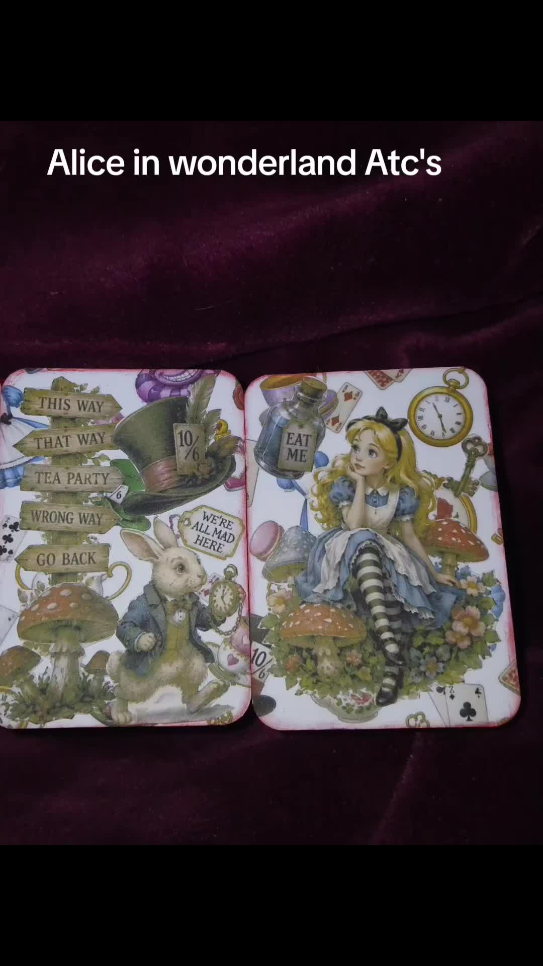 @☆stargazer976 junk journaler ☆