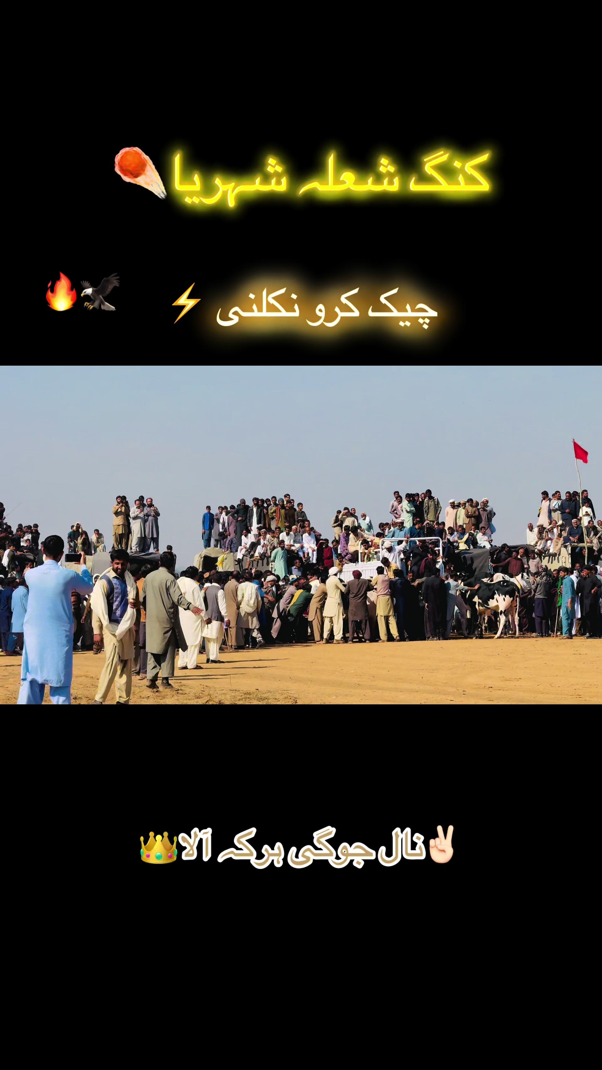 @👑💫پوٹھوہار داندی گروپ⚡️👑