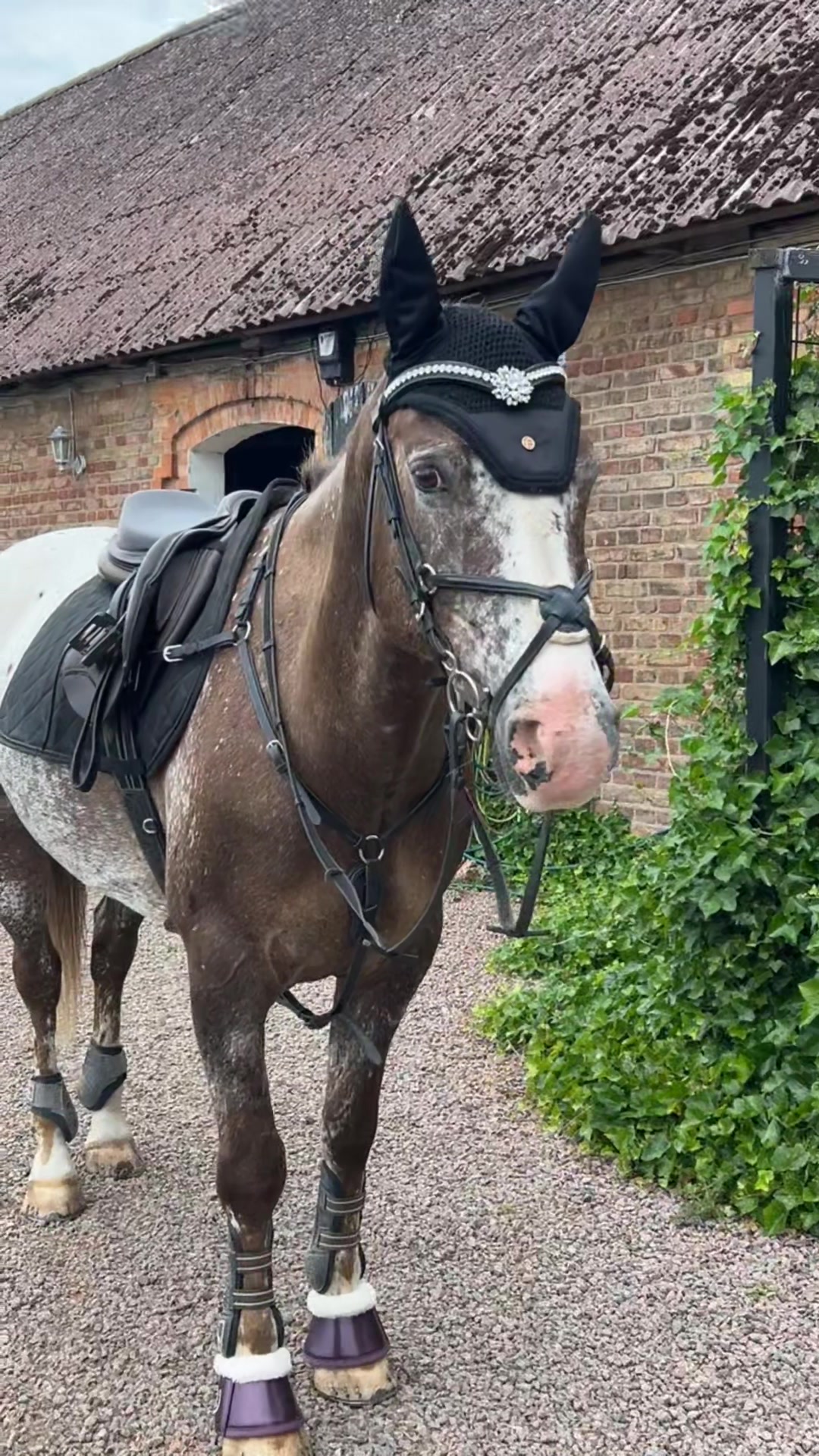 @Moa Borg🏎️ {5k}