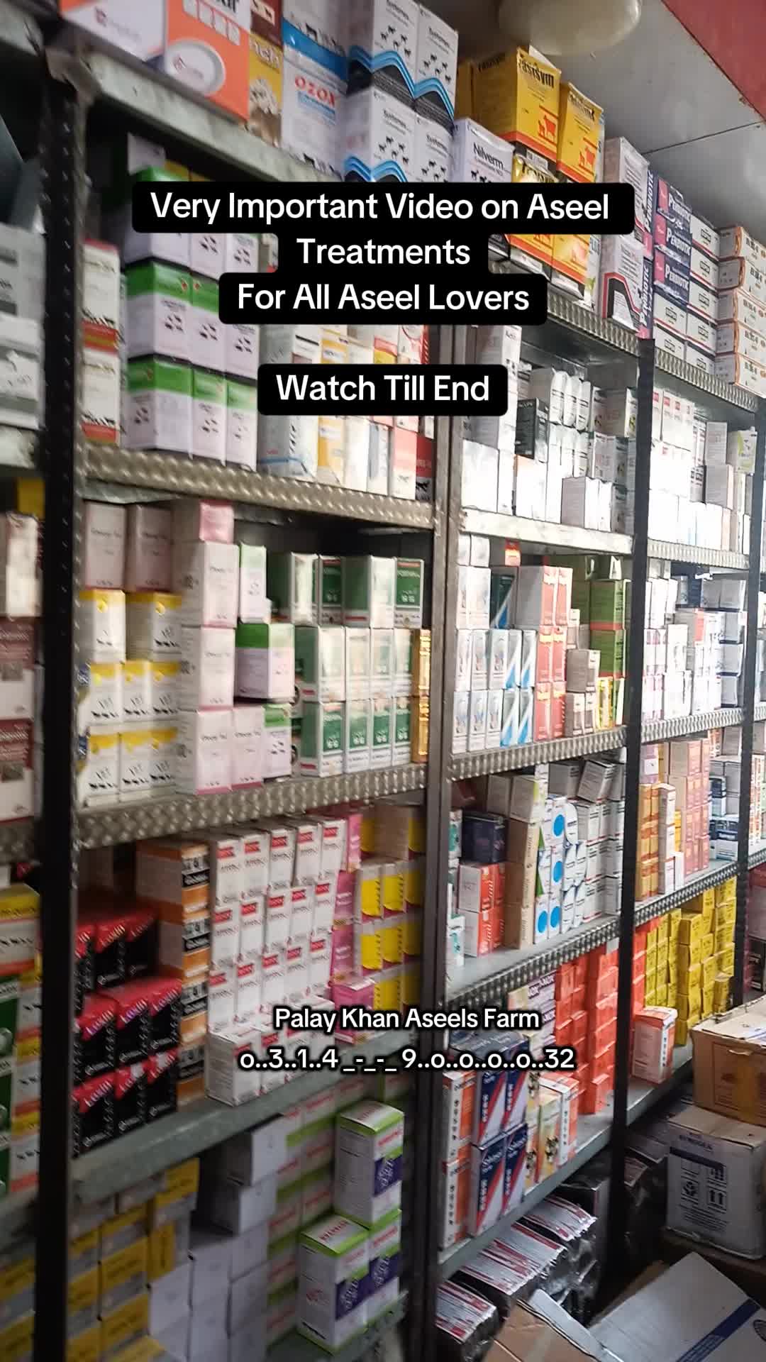 @PK Smart Aseel Birds Factory