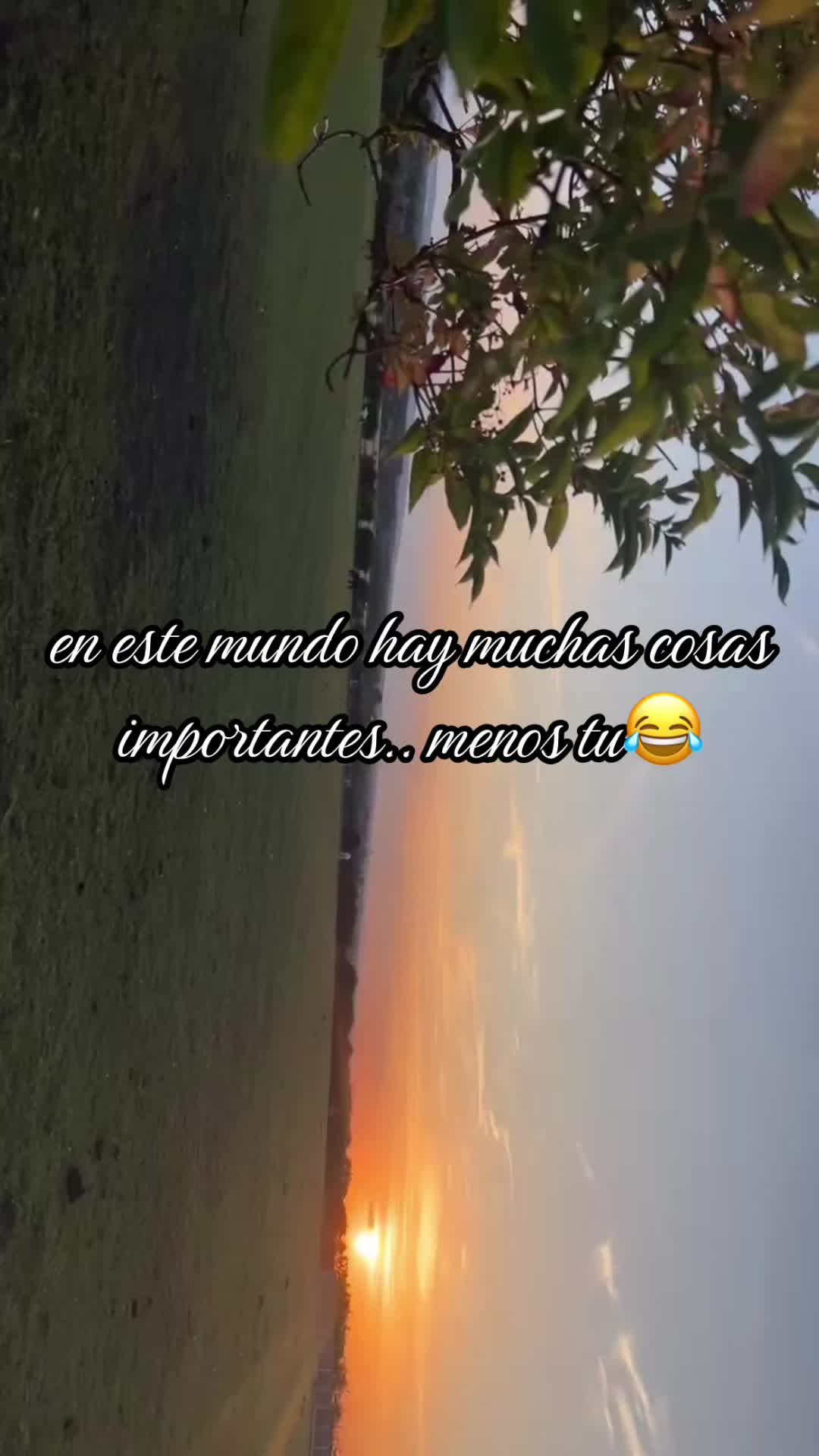 @❦꧁༇᯽༒𝒵𝒾𝓇𝓀ℴ𝓃𝒾𝒶༒᯽༺꧂❦
