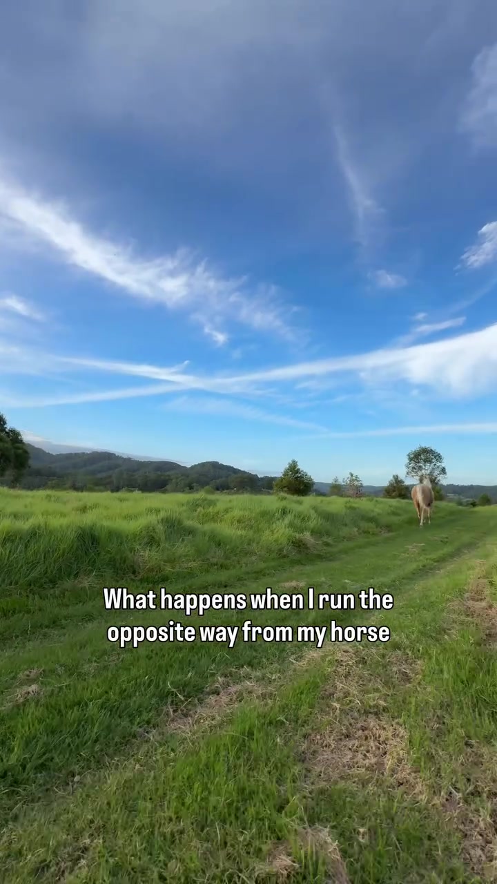 @animalmemester