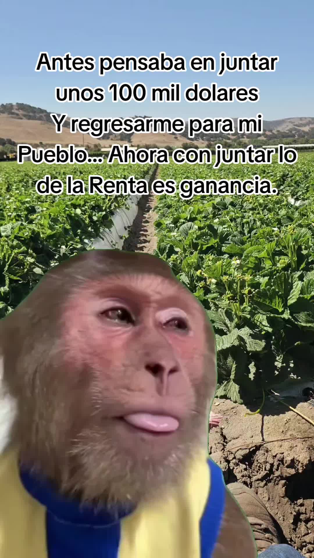 @🇲🇽🐦&zwj;⬛🪺VASQUEZ🚚🌪💎