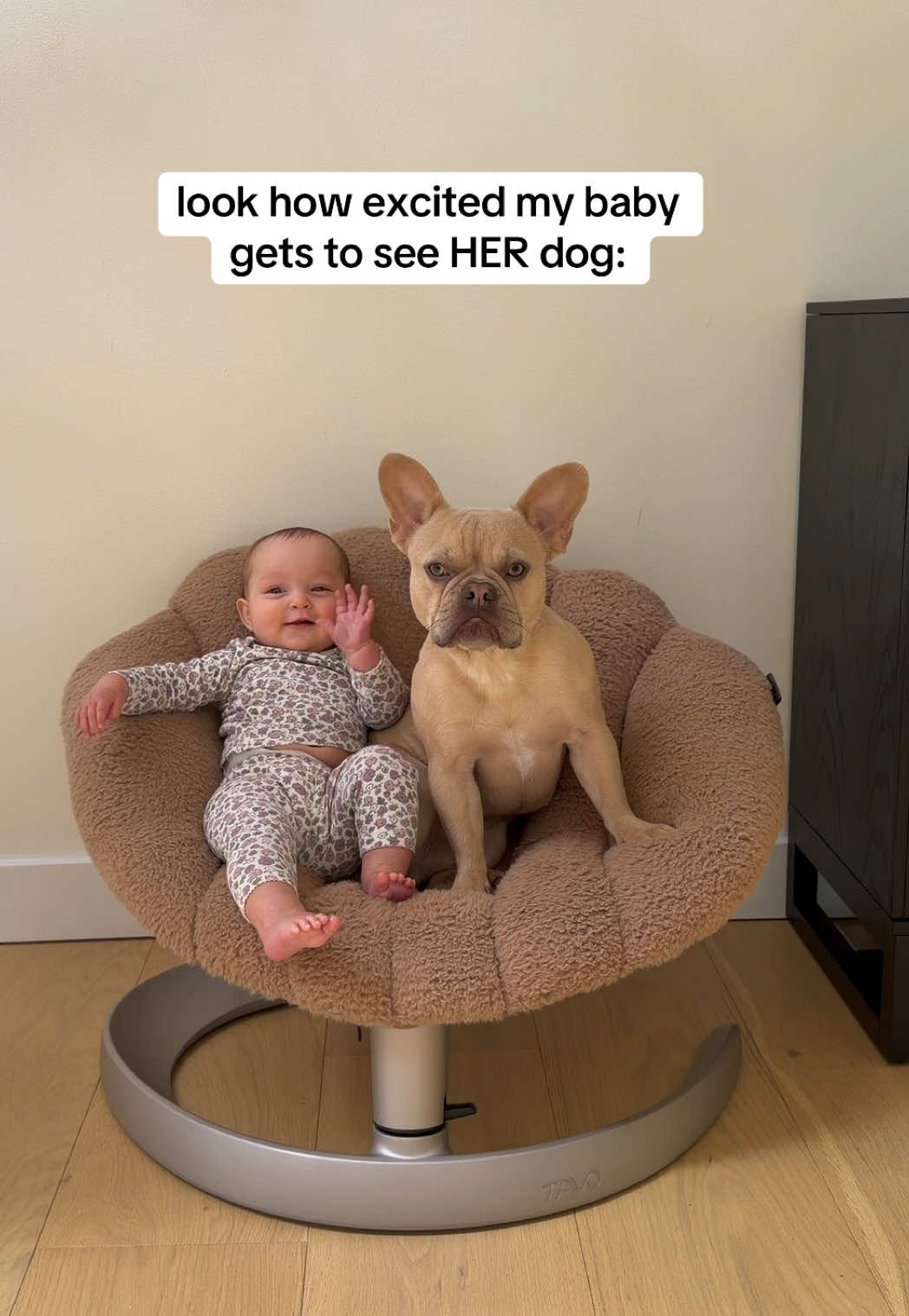 @Winston & Charlie 🐾