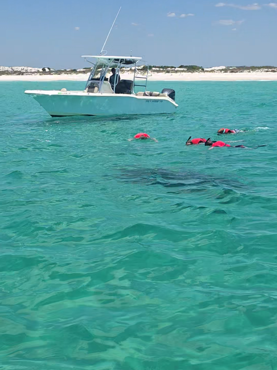 @Shell Island Dolphin Tours 🐬