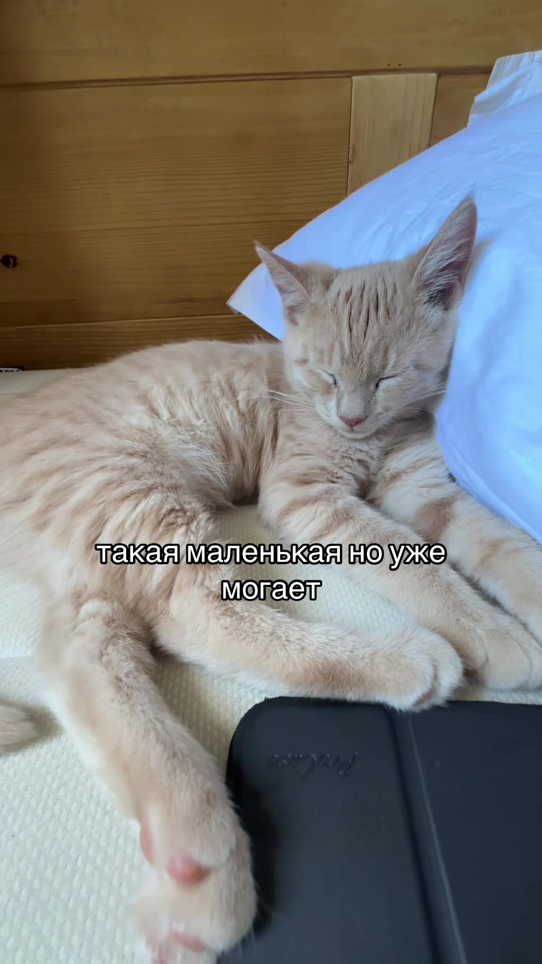 @mamaнастя