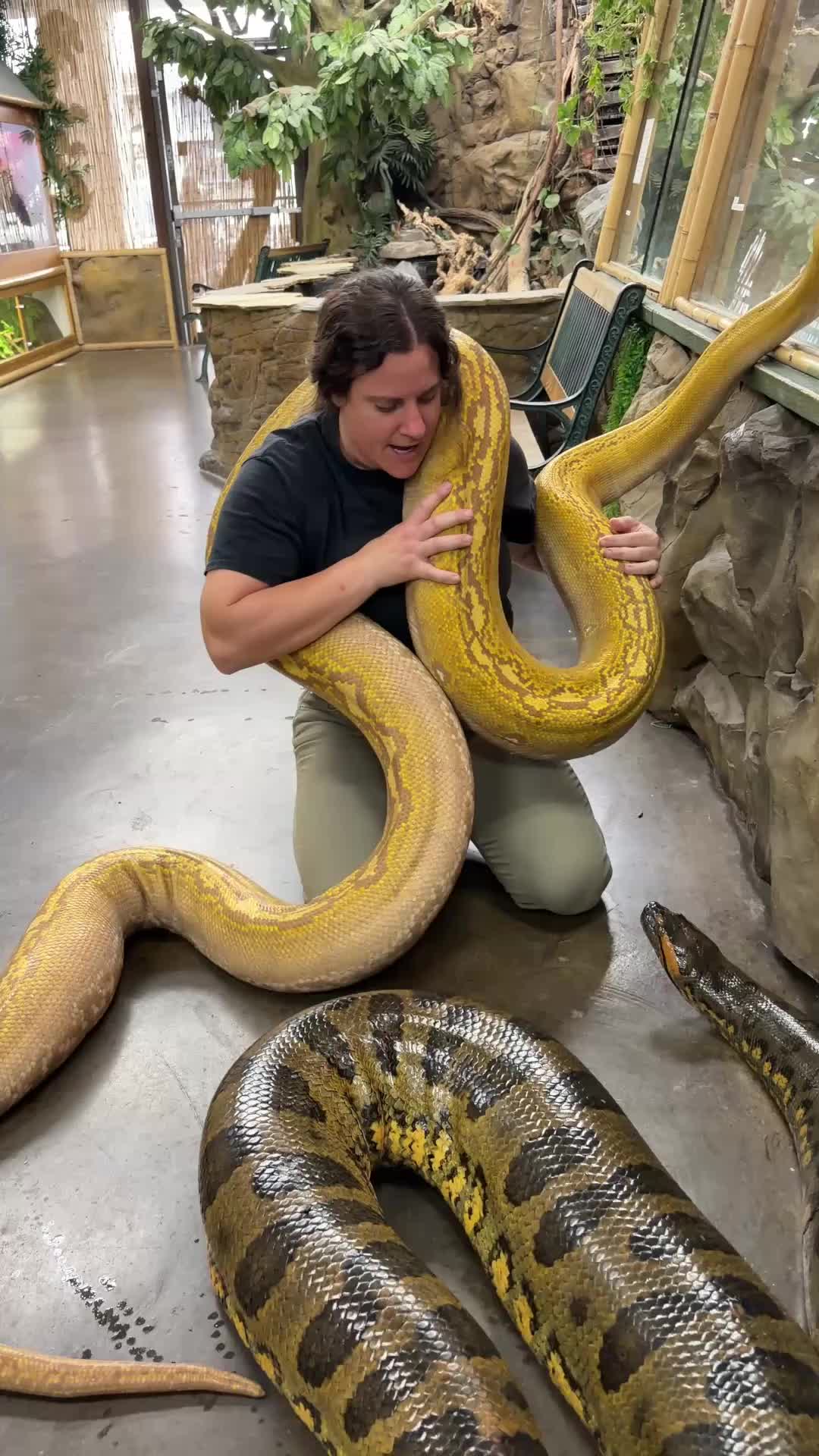 @The Reptile Zoo