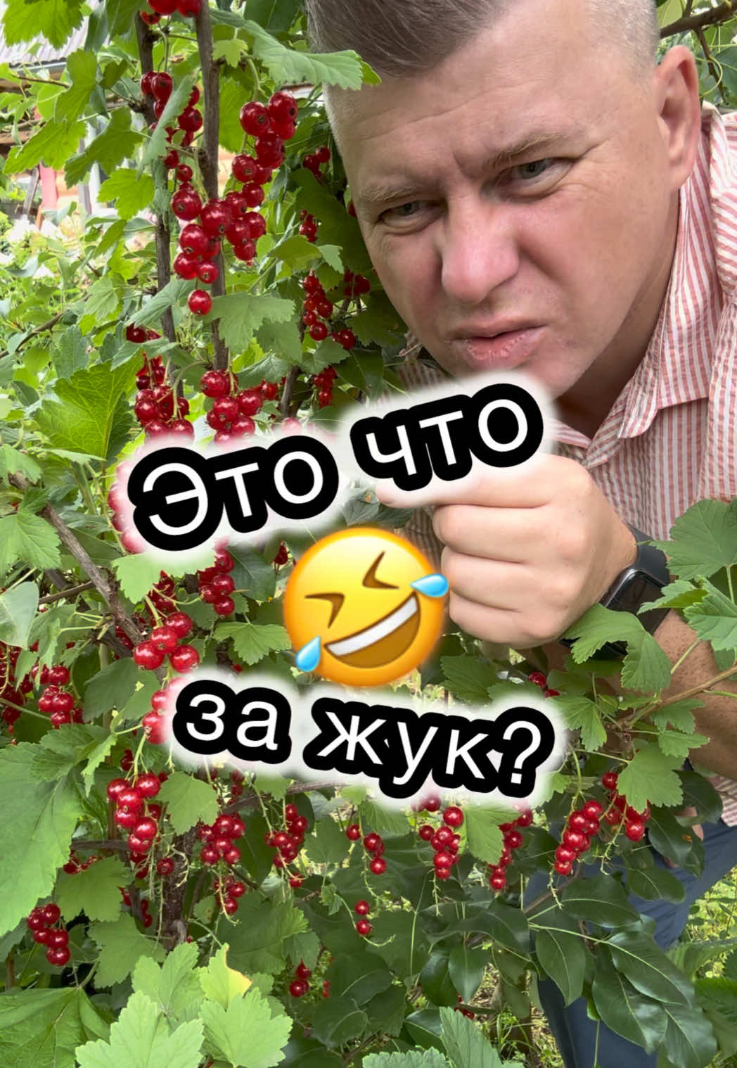 @Ращенков Максим