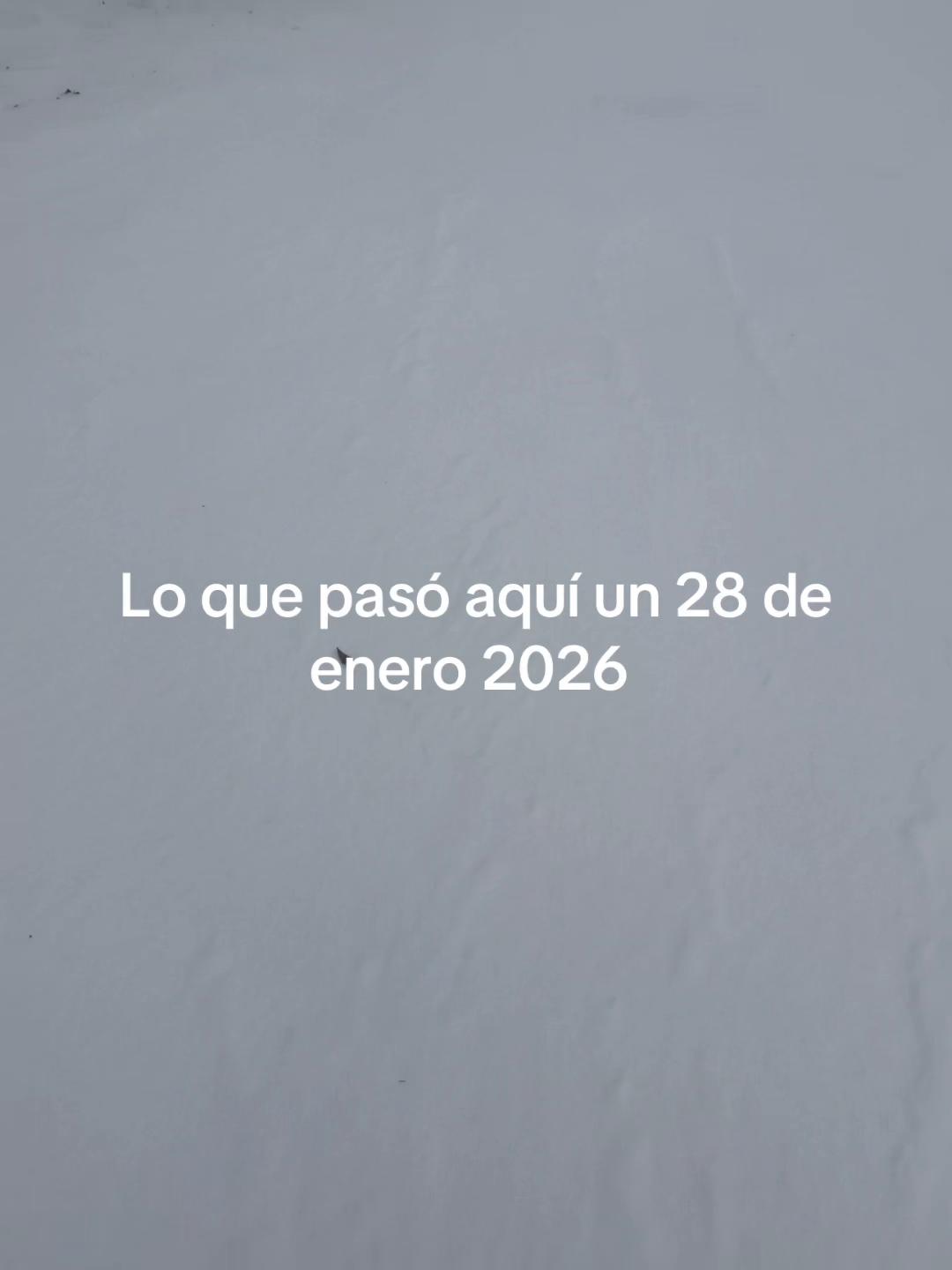 @olganoyola0105