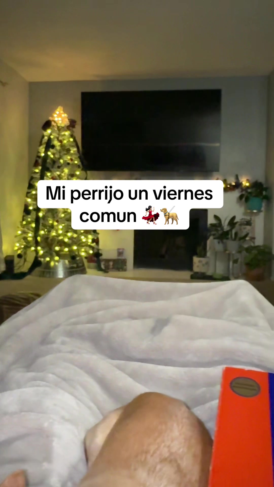 @Wendy