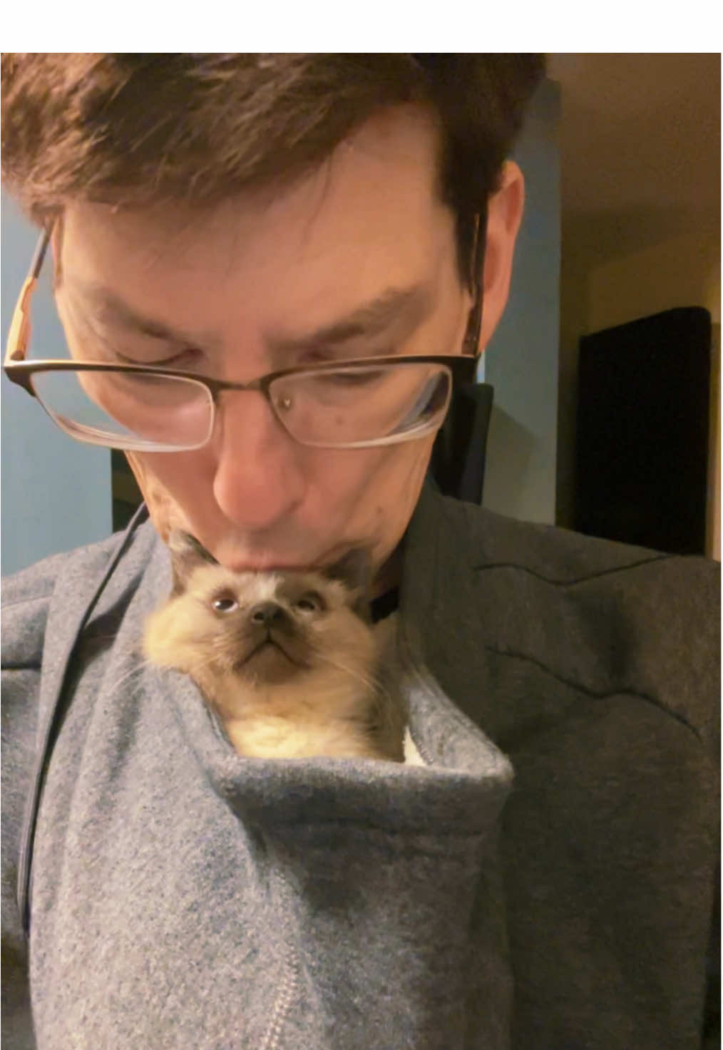 @Brad the CatDad 🐾