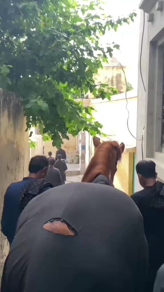 @مرکزی ذوالجناح تلہ گنگ