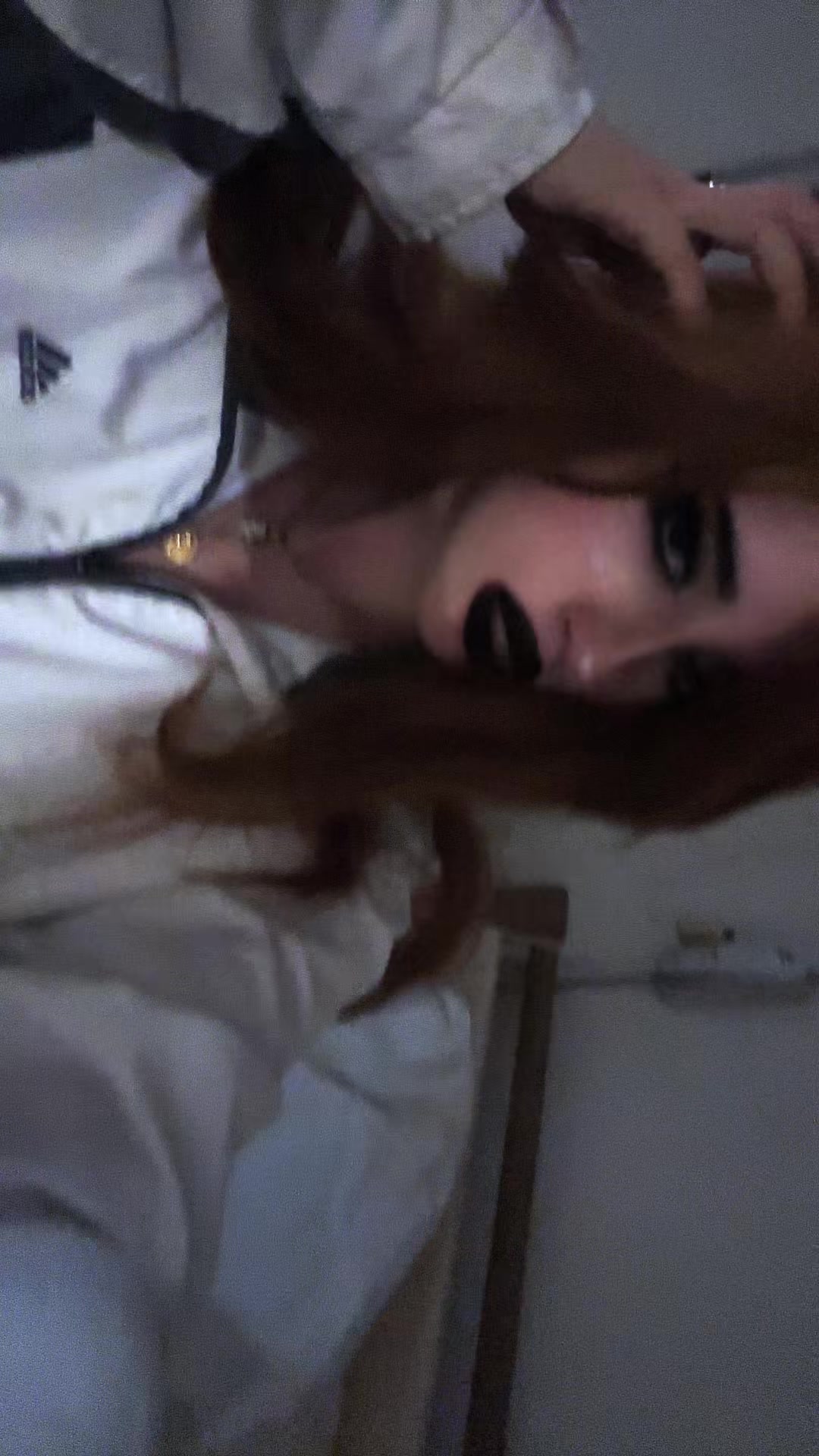 @chatdinosaure