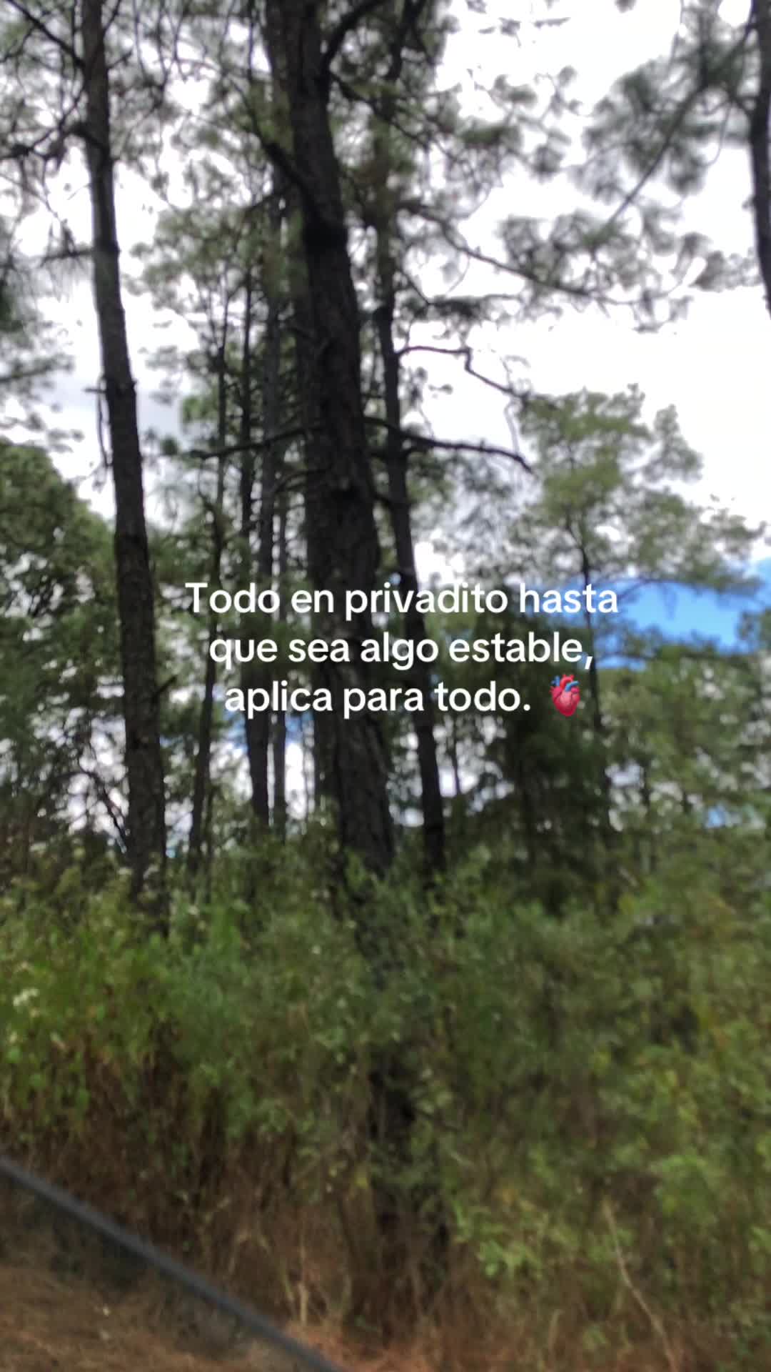 @angelicamurillo503