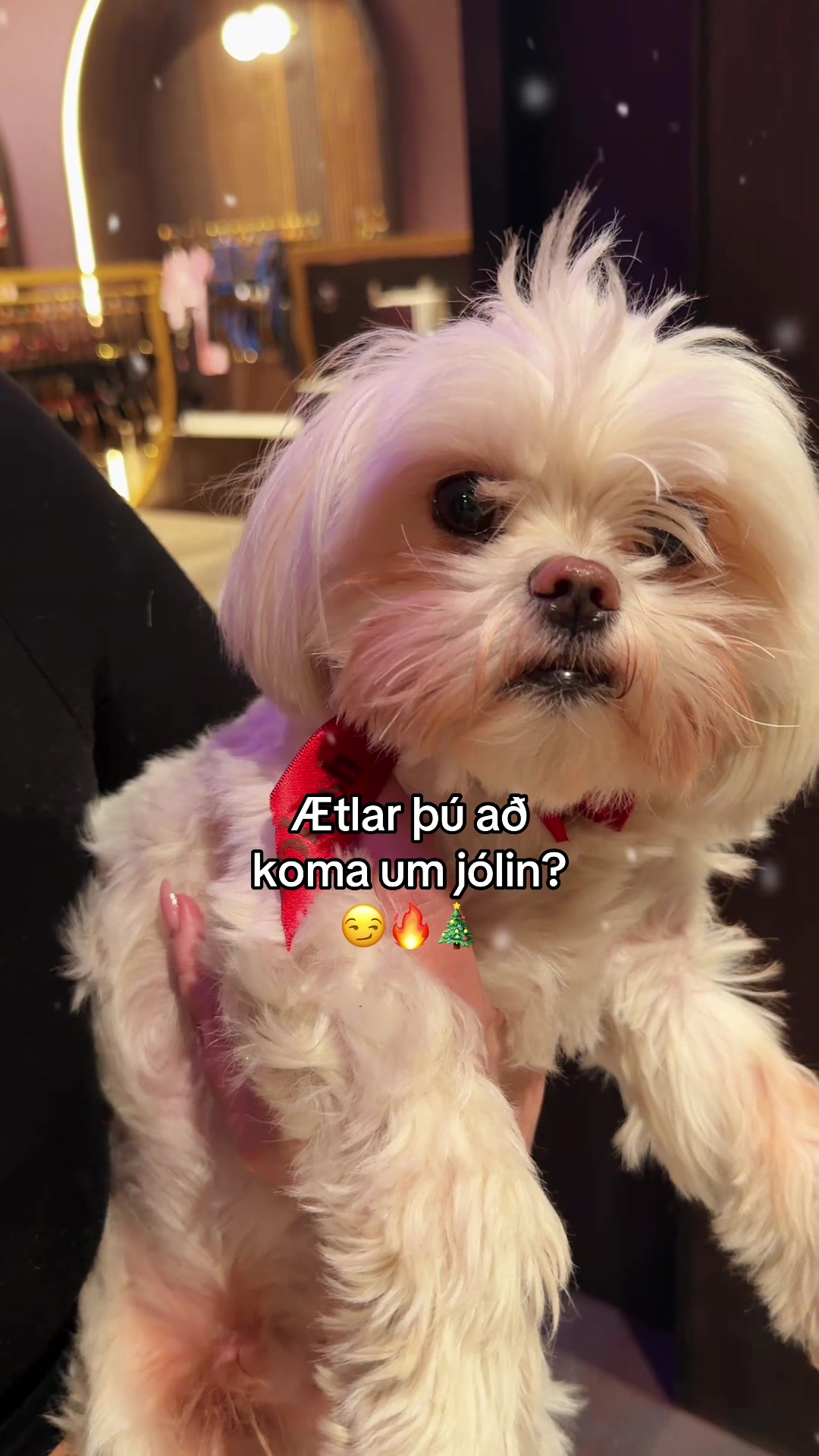 @Blush.is