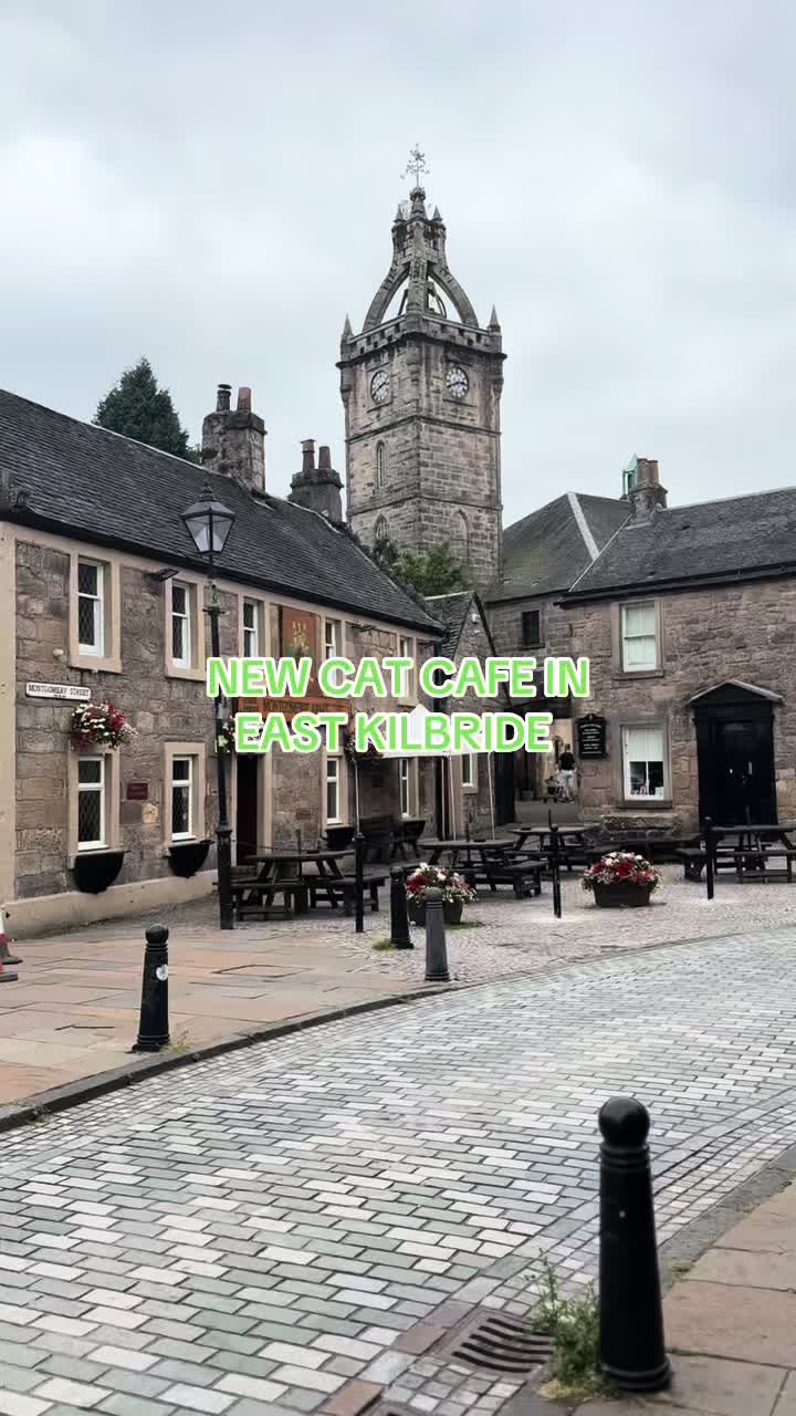 @Purrfect Caf&eacute;