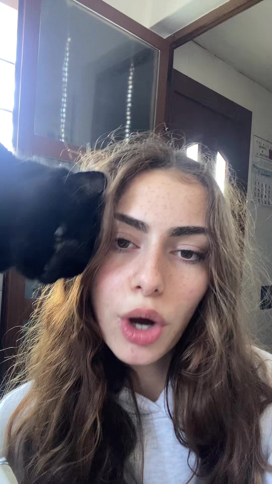 @puuuuula