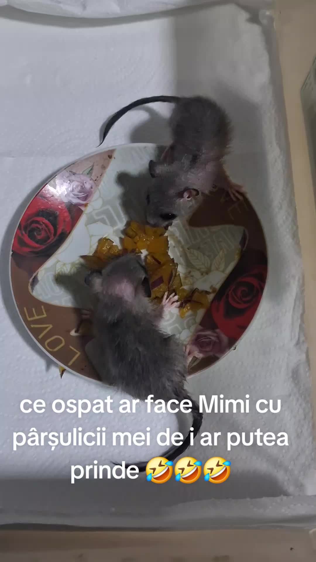 @giovannigiova