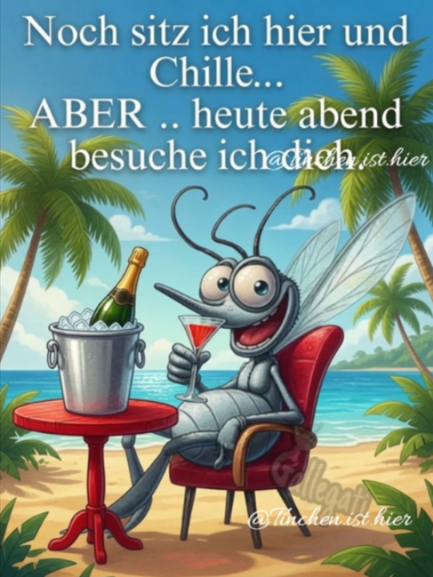 @☘️🦋☘️Tinchen.ist.hier☘️🦋☘️