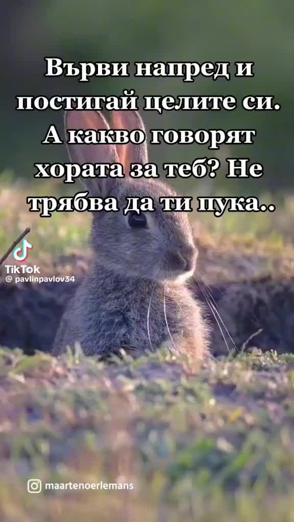 @aleksadra💓💓💓💓❣❣💋💋💋💋💋