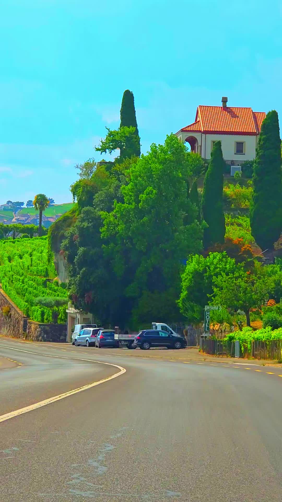 @🇨🇭flores Sérgio 🇵🇹
